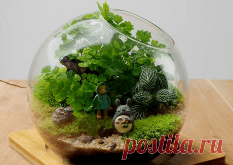 Флорариумы: виды, описание, идеи оформления ~ Planetalsad