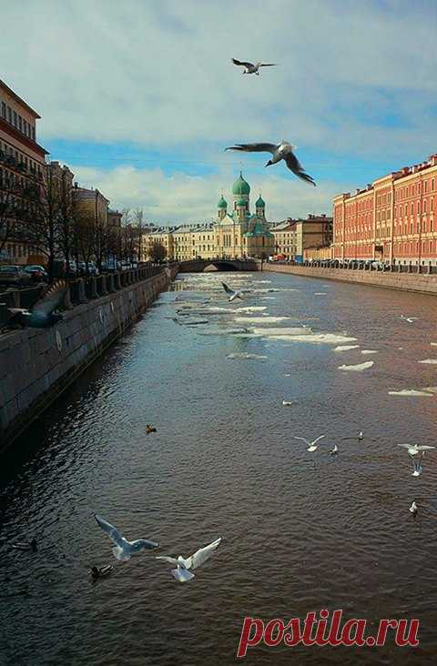(4) Арт Петербург