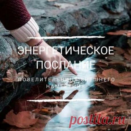 Вдох - Я позволяю заботиться обо мне 💝
.
Дорогие друзья, в понедельник по традиции 💌 я открываю для Вас энергетическое послание ⏩⏩🎡🎠
.
🧘‍♂️ Произносите каждое слово осознанно, вкладывая свои чувства! 🧘‍♀️
.
Источник послания - моя 📚книга «Повелительница Внешнего Намерения».
.
🙏 Замечательной вам недели и подарков от Вселенной! 🎁
.
.
#татьянасамарина #трансерфинг #вадимзеланд #трансерфингреальности #трансерфингцентр