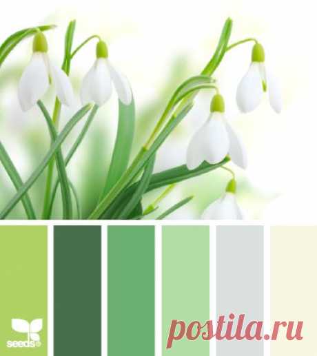 Design Seeds® | for all who ❤ color
Правильное сочетание цвета