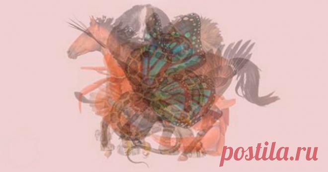 Первое животное, которое вы увидите на этом изображении, откроет скрытые черты вашей личности | Скиталец | Яндекс Дзен