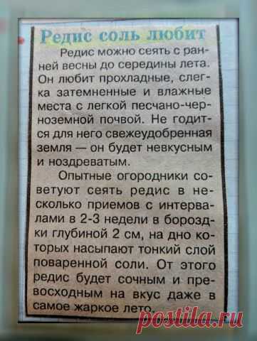 (65) Одноклассники
