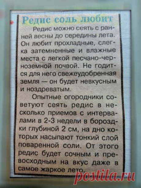 (65) Одноклассники