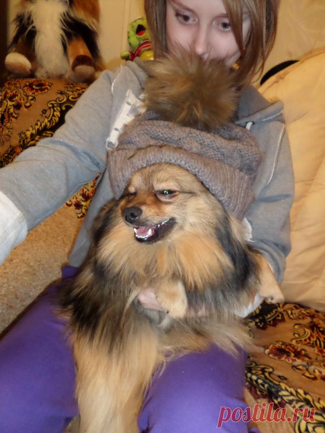 прекрасному молодцу любая шапочка к лицу