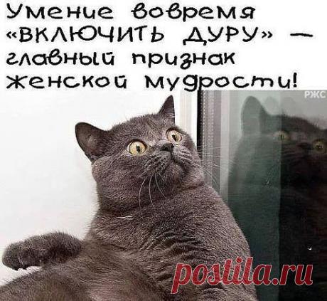 ► Ты на понтах, я на каблуках.©