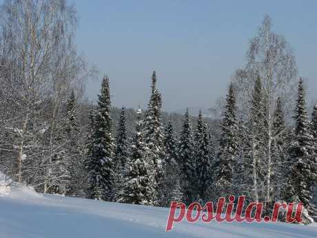 ФОТОМАСТЕРСКАЯ ПРИРОДЫ
Панов Александр