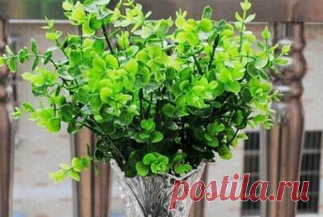 9 лекарственных растений, которые отгонят комаров от вашего участка Назойливые и жужжащие комары способны испортить самую лучшую и тщательно спланированную посиделку на природе. Кроме того, москиты являются распространителями различных вирусов и паразитарных заболеваний...