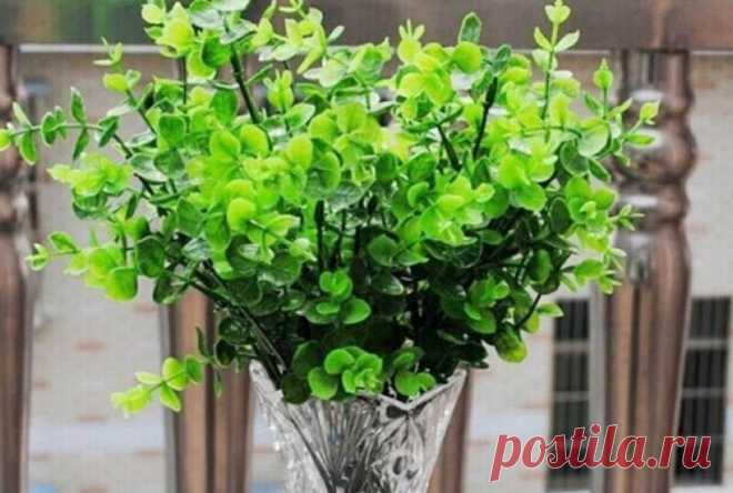 9 лекарственных растений, которые отгонят комаров от вашего участка Назойливые и жужжащие комары способны испортить самую лучшую и тщательно спланированную посиделку на природе. Кроме того, москиты являются распространителями различных вирусов и паразитарных заболеваний...