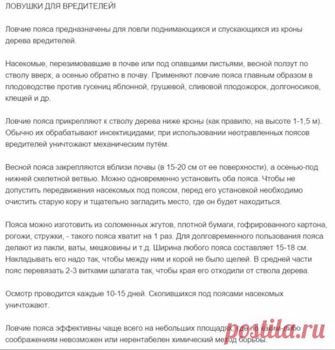 Gallery.ru / Фото #36 - Полезные советы - Engelis