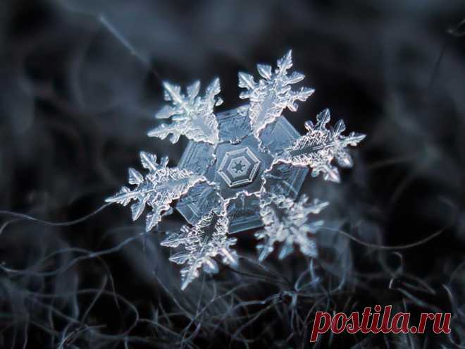 Безупречная красота снежинок Творения природы совершенны!