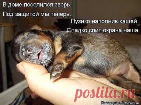 Одноклассники