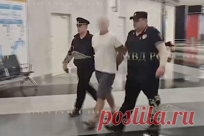 В Шереметьево задержали белоруса, который проломил голову чужому ребенку. Малыш в коме
