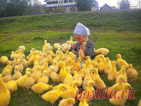 ДАЧНАЯ КОМПАНИЯ – Людмила Кашинская (Котова) добавила фотографию в альбом №47 ДЕТИ на ДАЧЕ.