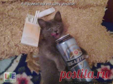 неожиданность