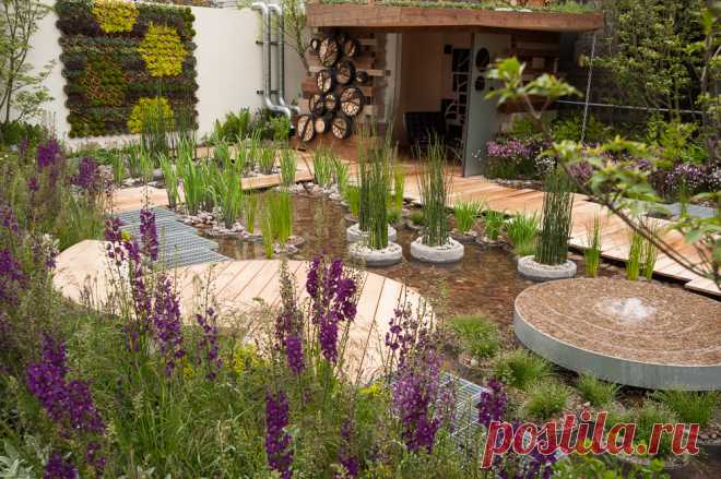 RBC Blue Water Roof Garden - Shoot