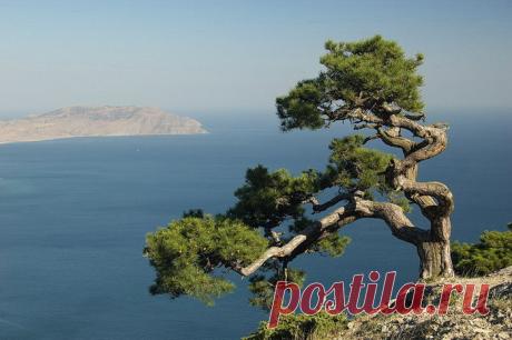 Витамин любви