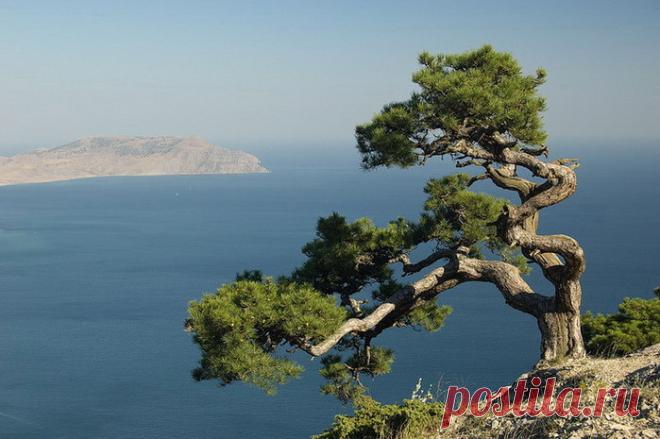 Витамин любви