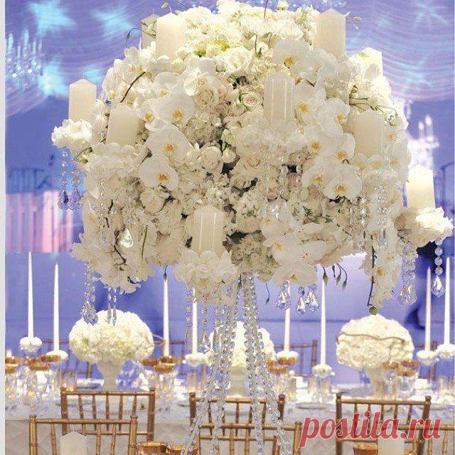 Ольга Ермилова