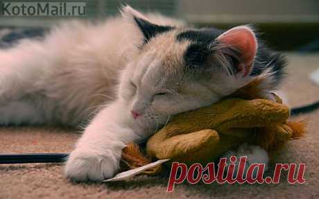 Да, мне так удобно