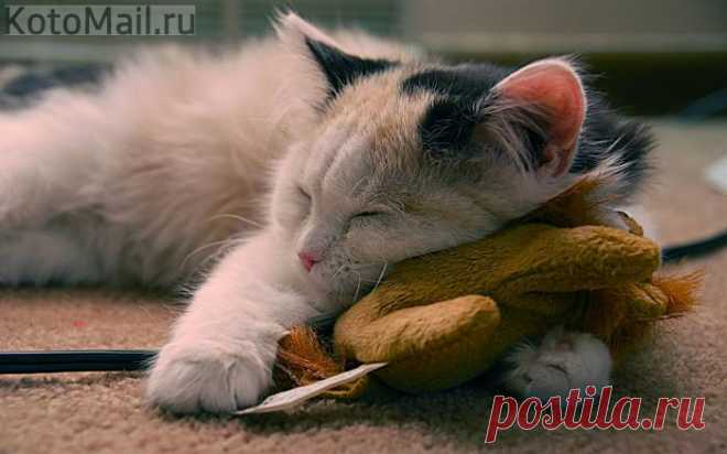 Да, мне так удобно