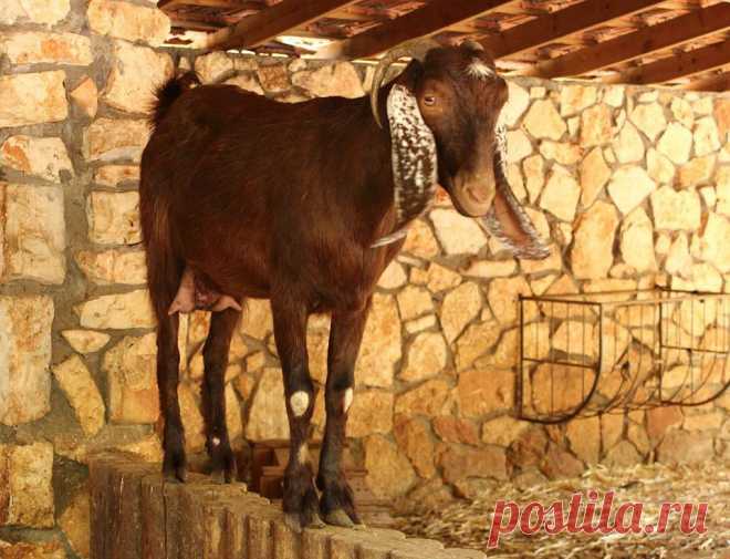 Когда все эти ничтожные человечишки поймут, что мы им не ровня?