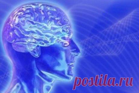 МОЗГ ЧЕЛОВЕКА И ИНФОРМАЦИОННОЕ ПОЛЕ ( часть 2) | Приветствуем ВАС на сайте ГАЛАКТИКА