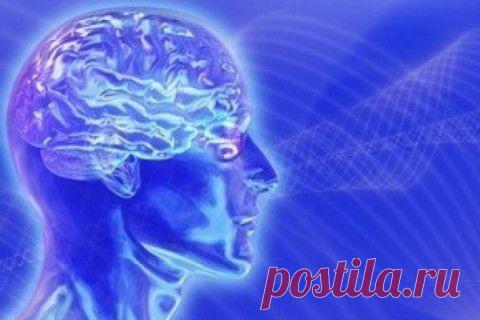 МОЗГ ЧЕЛОВЕКА И ИНФОРМАЦИОННОЕ ПОЛЕ ( часть 2) | Приветствуем ВАС на сайте ГАЛАКТИКА