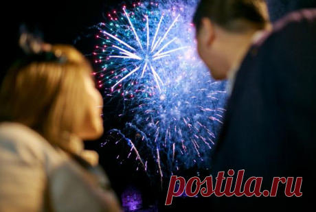 В новогоднюю ночь в Риме погибли сотни птиц: во всем виноваты салюты