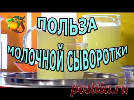 Польза молочной сыворотки для здоровья. Как принимать сыворотку для очишения организма?
