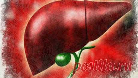 «Сюрпризы», которые таит в себе застоявшаяся желчь и 3 простых шага, чтобы их избежать | Книга рецептов молодости | Дзен