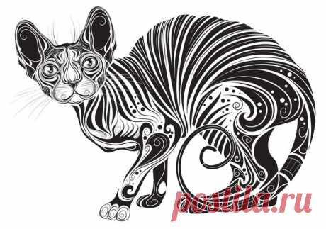 Сообщество иллюстраторов / Иллюстрации / Копырин Андрей / Кошка сфинкс