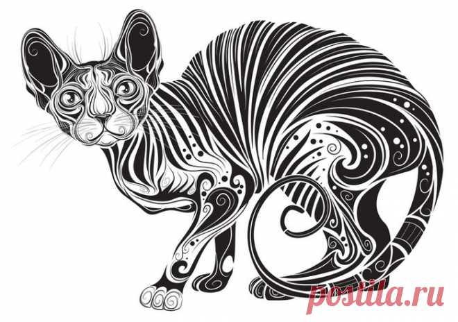 Сообщество иллюстраторов / Иллюстрации / Копырин Андрей / Кошка сфинкс