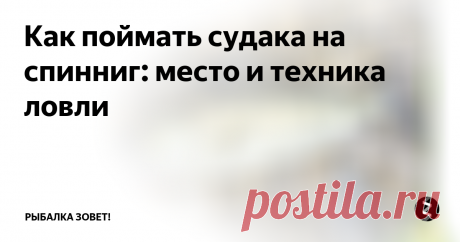Как поймать судака на спинниг: место и техника ловли Как только заканчивается нерест судака (это вторая декада июня) и после этого проходит 10-15 дней, вы можете приступать к его ловле. Рыбаки продолжают искать хищника до появления первого льда. Клев этой рыбы непредсказуем:
- отнерестившись, судак жадно начинает атаковать все приманки;
- ближе к середине летнего сезона, клев слабеет;
- когда начинается так называемое «цветение» воды, хищник переста