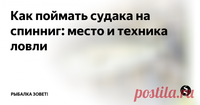 Как поймать судака на спинниг: место и техника ловли Как только заканчивается нерест судака (это вторая декада июня) и после этого проходит 10-15 дней, вы можете приступать к его ловле. Рыбаки продолжают искать хищника до появления первого льда. Клев этой рыбы непредсказуем:
- отнерестившись, судак жадно начинает атаковать все приманки;
- ближе к середине летнего сезона, клев слабеет;
- когда начинается так называемое «цветение» воды, хищник переста