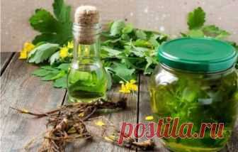 Чистотел от бородавок, гастрита и запоров: рецепты водных и спиртовых настоек. Советы по употреблению и противопоказания Настойка из чистотела польза, противопоказания, полезные свойства настойки из чистотела, можно ли  настойку из чистотела детям, как употреблять её  правильно  для максимальной пользы