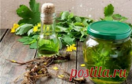 Чистотел от бородавок, гастрита и запоров: рецепты водных и спиртовых настоек. Советы по употреблению и противопоказания Настойка из чистотела польза, противопоказания, полезные свойства настойки из чистотела, можно ли  настойку из чистотела детям, как употреблять её  правильно  для максимальной пользы