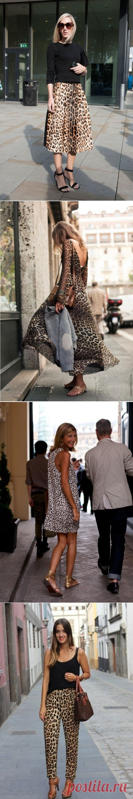 Леопардовый принт в образах — Модно / Nemodno