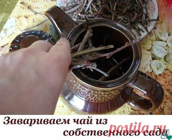 Завариваем чай из собственного сада.
 Такие полезные веточки! 
Мы покупаем чай не понятно где и как собранный, в идеале – действительно с индийских плантаций, в то время как в нашем саду растет отличная заварка! Говорите, в вашем саду сейчас ничего нет, кроме голых деревьев? Они то нам и нужны. Точнее – их веточки. 
Как заваривать чай из веток. 
Для приготовления такого напитка прокипятите тонкие веточки 10-15 минут, а затем оставьте настояться на ночь. Перед употреблением...