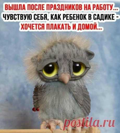 Юмор:Веселое настроение на весь день!