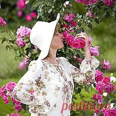 Цветы | Фотографии и советы опытных дачников на Постиле