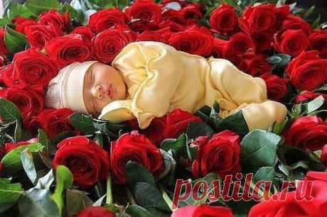 (1) Моя Россия