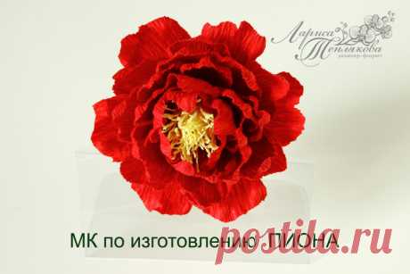 Gallery.ru / Фото #28 - МК "ПИОН" - LediFlor