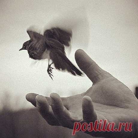 10 книг, которые учат никогда не сдаваться