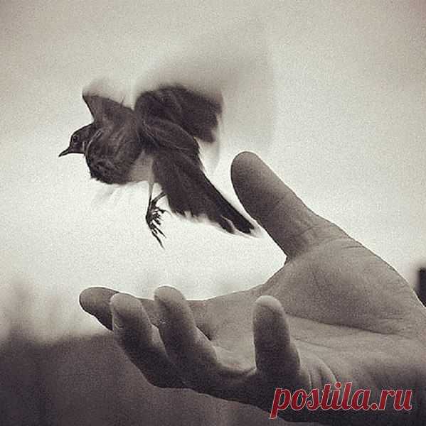 10 книг, которые учат никогда не сдаваться