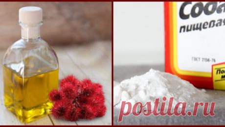 Незаслуженно забытая касторка: касторовое масло с содой и 18 целебных свойств чудной смеси.. Касторовое масло, или касторка, и сода — два ингредиента, способные избавить от целого ряда заболеваний, укрепить и омолодить организм. Это сочетание доступных и простых ингредиентов может стать для вас настоящей панацеей. Подберите подходящий рецепт из представленных в статье, и начните лечение прямо сейчас!