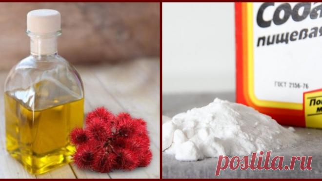 Незаслуженно забытая касторка: касторовое масло с содой и 18 целебных свойств чудной смеси.. Касторовое масло, или касторка, и сода — два ингредиента, способные избавить от целого ряда заболеваний, укрепить и омолодить организм. Это сочетание доступных и простых ингредиентов может стать для вас настоящей панацеей. Подберите подходящий рецепт из представленных в статье, и начните лечение прямо сейчас!