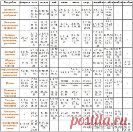 Лунный календарь для цветов и комнатных растений на 2018 год