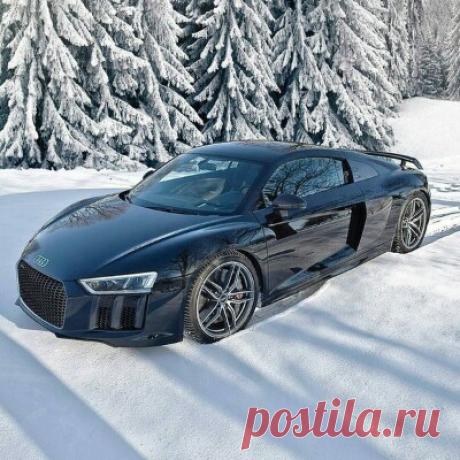 151901564.p.500.500.0.jpg (400×400)