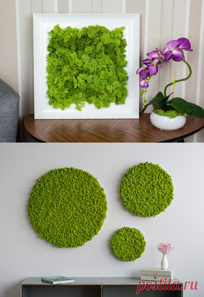 Делаем картины из мха своими руками - homeideas.pro