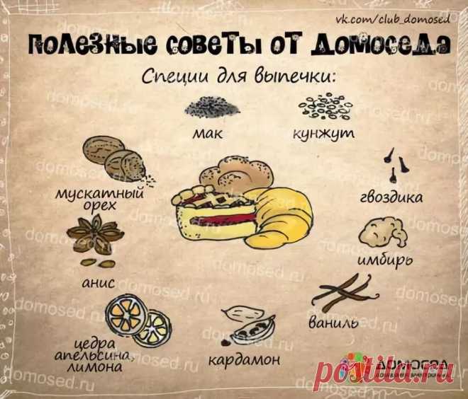 рецепты в картинках на все случаи жизни: 11 тыс изображений найдено в Яндекс.Картинках